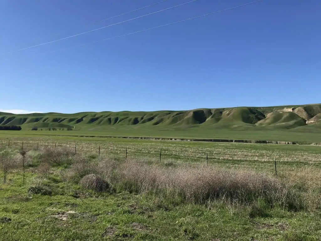 The green rolling hills of the central valley in California