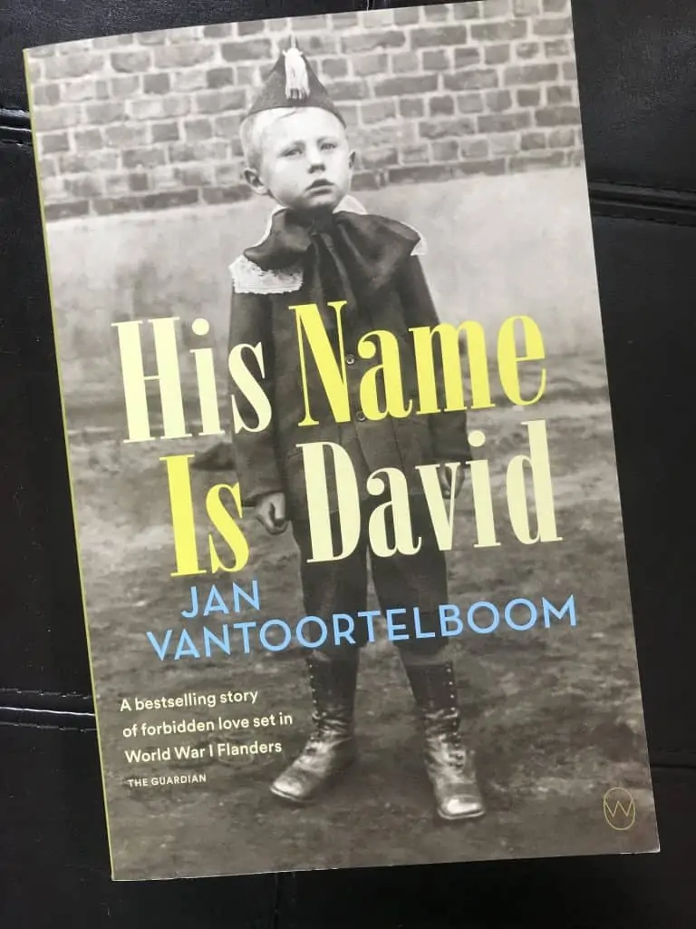 Cover of the book His Name is David