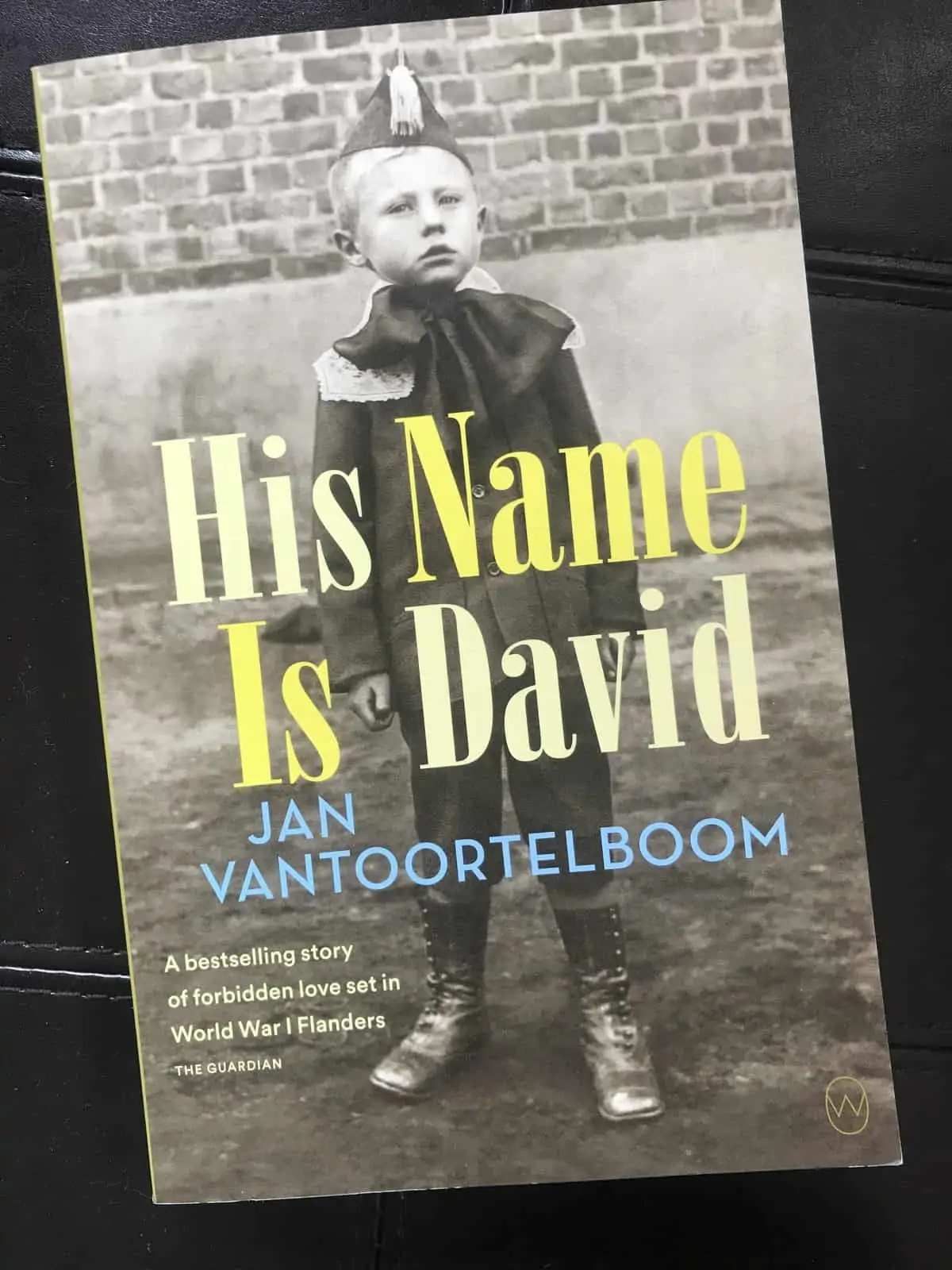 His Name is David – Book Review