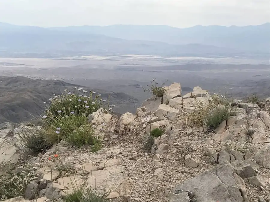 View of Coachella Valley from Keys Point in Joshua Tree National Park