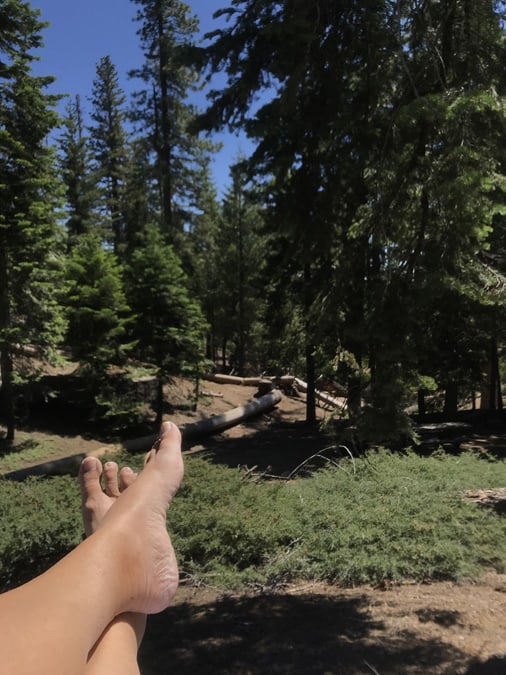 View of Sunset campsite from back of camper van. Kings Canyon NP