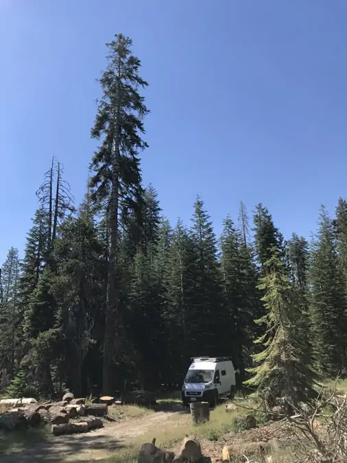 Example 1 of dispersed camping near Sequoia National Park.  Rabbit Meadow