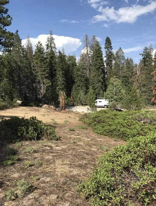 Example 2 of dispersed camping near Sequoia National Park.  Rabbit Meadow
