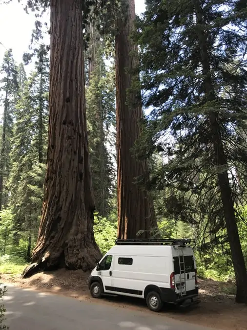 Promaster campervan parked in The Giant Forest Sequoia National Park