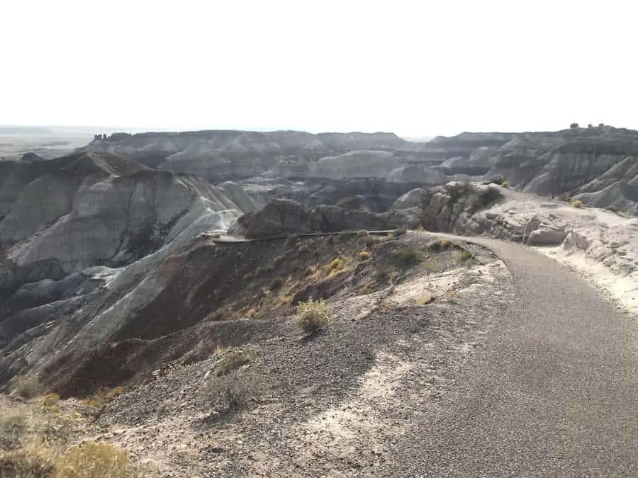 Blue Mesa trail Petrified Forest National Park