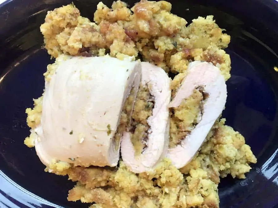 Plated Thanksgiving turkey roll made in a Hot Logic Mini