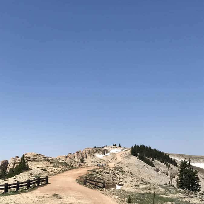 Hiking trail up to Wyoming's Medicine Wheel National Monument