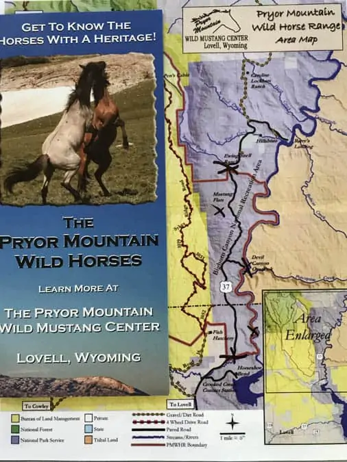 Pryor Mountain Mustang brochure